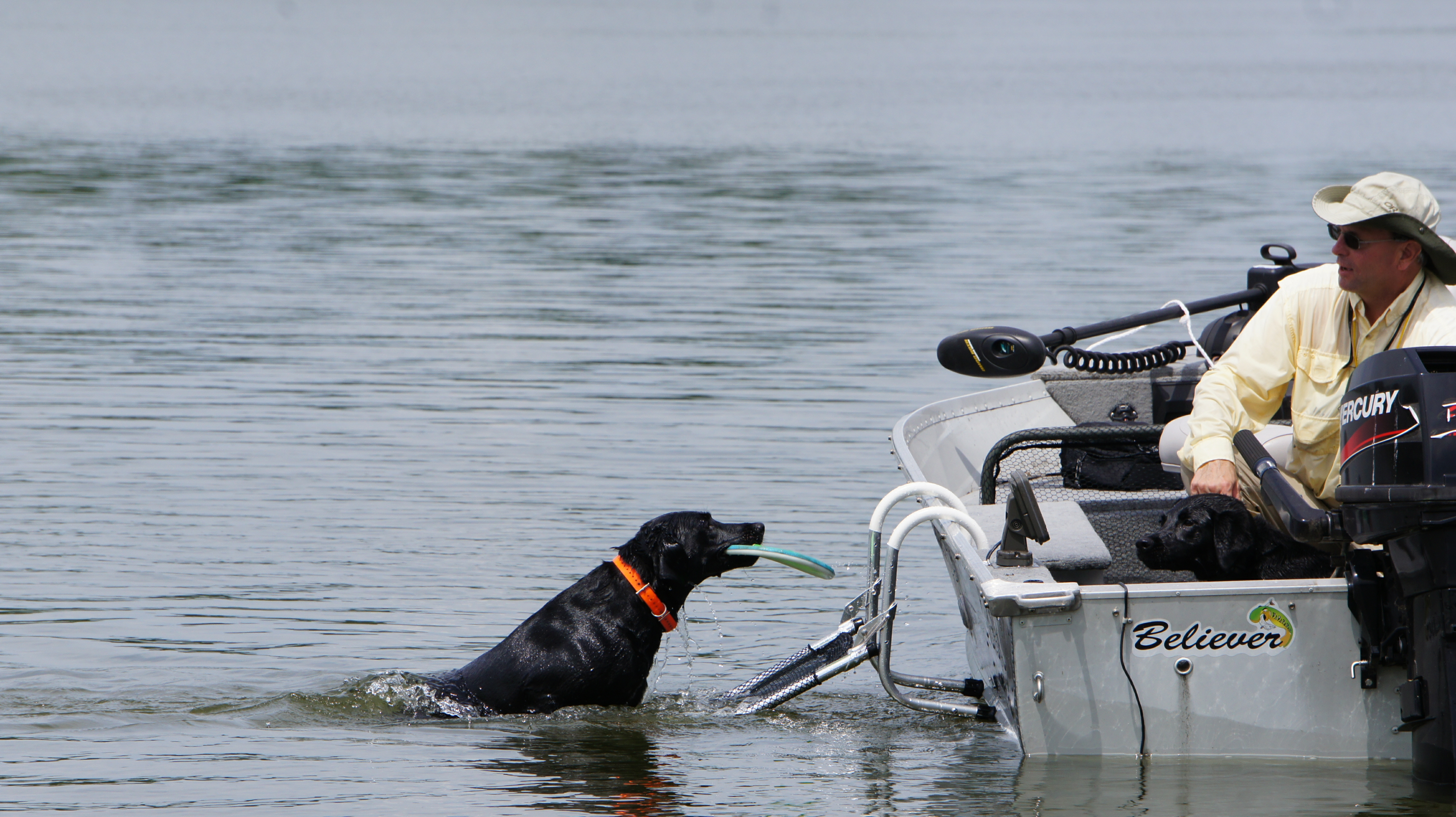 Drifter Marine Dog Boat Boarding Ladder | tyello.com